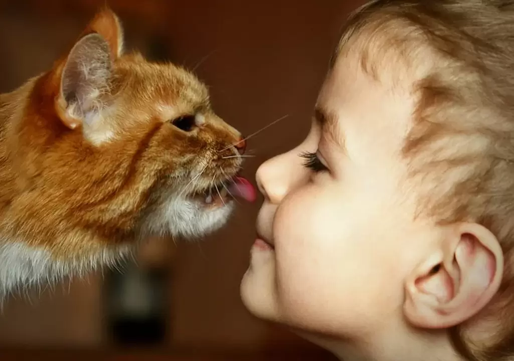 un garçon embrasse un chat et est infecté par des vers